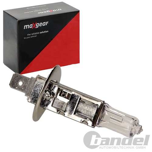 Maxgear 12v glühlampe - 12v,